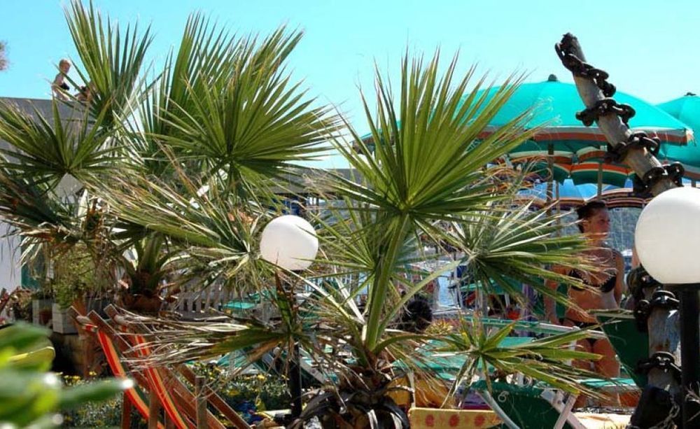 Esperia 3* Piombino